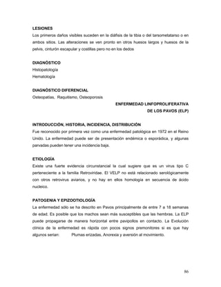 86
LESIONES
Los primeros daños visibles suceden en la diáfisis de la tibia o del tarsometatarso o en
ambos sitios. Las alteraciones se ven pronto en otros huesos largos y huesos de la
pelvis, cinturón escapular y costillas pero no en los dedos
DIAGNÓSTICO
Histopatología
Hematología
DIAGNÓSTICO DIFERENCIAL
Osteopatías, Raquitismo, Osteoporosis
ENFERMEDAD LINFOPROLIFERATIVA
DE LOS PAVOS (ELP)
INTRODUCCIÓN, HISTORIA, INCIDENCIA, DISTRIBUCIÓN
Fue reconocido por primera vez como una enfermedad patológica en 1972 en el Reino
Unido. La enfermedad puede ser de presentación endémica o esporádica, y algunas
parvadas pueden tener una incidencia baja.
ETIOLOGÍA
Existe una fuerte evidencia circunstancial la cual sugiere que es un virus tipo C
perteneciente a la familia Retroviridae. El VELP no está relacionado serológicamente
con otros retrovirus aviarios, y no hay en ellos homología en secuencia de ácido
nucleico.
PATOGENIA Y EPIZOOTIOLOGÍA
La enfermedad sólo se ha descrito en Pavos principalmente de entre 7 a 18 semanas
de edad. Es posible que los machos sean más susceptibles que las hembras. La ELP
puede propagarse de manera horizontal entre pavipollos en contacto. La Evolución
clínica de la enfermedad es rápida con pocos signos premonitores si es que hay
algunos serian: Plumas erizadas, Anorexia y aversión al movimiento.
 