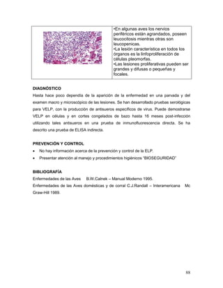 88
•En algunas aves los nervios
periféricos están agrandados, poseen
leucocitosis mientras otras son
leucopenicas.
•La lesión característica en todos los
órganos es la linfoproliferación de
células pleomorfas.
•Las lesiones proliferativas pueden ser
grandes y difusas o pequeñas y
focales.
DIAGNÓSTICO
Hasta hace poco dependía de la aparición de la enfermedad en una parvada y del
examen macro y microscópico de las lesiones. Se han desarrollado pruebas serológicas
para VELP, con la producción de antisueros específicos de virus. Puede demostrarse
VELP en células y en cortes congelados de bazo hasta 16 meses post-infección
utilizando tales antisueros en una prueba de inmunofluorescencia directa. Se ha
descrito una prueba de ELISA indirecta.
PREVENCIÓN Y CONTROL
 No hay información acerca de la prevención y control de la ELP.
 Presentar atención al manejo y procedimientos higiénicos “BIOSEGURIDAD”
BIBLIOGRAFÍA
Enfermedades de las Aves B.W.Calnek – Manual Moderno 1995.
Enfermedades de las Aves domésticas y de corral C.J.Randall – Interamericana Mc
Graw-Hill 1989.
 