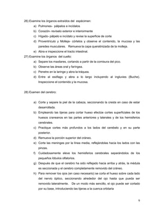 9
26) Examine los órganos extraídos del espécimen:
a) Pulmones- pálpelos e incídalos
b) Corazón- revíselo exterior e interiormente
c) Hígado- pálpelo e incídalo y revise la superficie de corte
d) Proventrículo y Molleja- córtelos y observe el contenido, la mucosa y las
paredes musculares. Remueva la capa queratinizada de la molleja.
e) Abra e inspeccione el tracto intestinal.
27) Examine los órganos del cuello:
a) Separe los maxilares, cortando a partir de la comisura del pico.
b) Observe las áreas oral y faríngea.
c) Penetre en la laringe y abra la tráquea.
d) Entre al esófago y abra a lo largo incluyendo al ingluvies (Buche).
Inspeccione el contenido y la mucosa.
28) Examen del cerebro:
a) Corte y separe la piel de la cabeza, seccionando la cresta en caso de estar
desarrollada.
b) Empleando las tijeras para cortar hueso efectúe cortes superficiales de los
huesos craneanos en las partes anteriores y laterales y de los hemisferios
cerebrales.
c) Practique cortes más profundos a los lados del cerebelo y en su parte
posterior.
d) Remueva la porción superior del cráneo.
e) Corte las meninges por la línea media, reflejándolas hacia los lados con las
pinzas.
f) Cuidadosamente eleve los hemisferios cerebrales separándolos de los
pequeños lóbulos olfatorios.
g) Después de que el cerebro ha sido reflejado hacia arriba y atrás, la médula
es seccionada y el cerebro completamente removido del cráneo.
h) Para remover los ojos (en caso necesario) se corta el hueso sobre cada lado
del nervio óptico, seccionando alrededor del ojo hasta que pueda ser
removido lateralmente. De un modo más sencillo, el ojo puede ser cortado
por su base, introduciendo las tijeras a la cuenca orbitaria
 