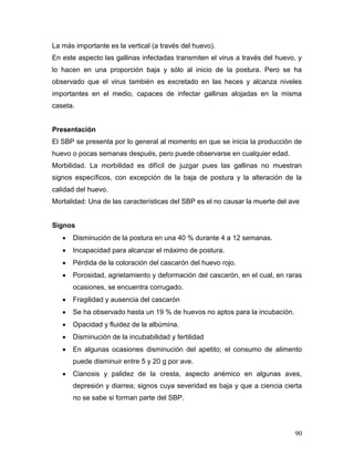 90
La más importante es la vertical (a través del huevo).
En este aspecto las gallinas infectadas transmiten el virus a través del huevo, y
lo hacen en una proporción baja y sólo al inicio de la postura. Pero se ha
observado que el virus también es excretado en las heces y alcanza niveles
importantes en el medio, capaces de infectar gallinas alojadas en la misma
caseta.
Presentación
El SBP se presenta por lo general al momento en que se inicia la producción de
huevo o pocas semanas después, pero puede observarse en cualquier edad.
Morbilidad. La morbilidad es difícil de juzgar pues las gallinas no muestran
signos específicos, con excepción de la baja de postura y la alteración de la
calidad del huevo.
Mortalidad: Una de las características del SBP es el no causar la muerte del ave
Signos
 Disminución de la postura en una 40 % durante 4 a 12 semanas.
 Incapacidad para alcanzar el máximo de postura.
 Pérdida de la coloración del cascarón del huevo rojo.
 Porosidad, agrietamiento y deformación del cascarón, en el cual, en raras
ocasiones, se encuentra corrugado.
 Fragilidad y ausencia del cascarón
 Se ha observado hasta un 19 % de huevos no aptos para la incubación.
 Opacidad y fluidez de la albúmina.
 Disminución de la incubabilidad y fertilidad
 En algunas ocasiones disminución del apetito; el consumo de alimento
puede disminuir entre 5 y 20 g por ave.
 Cianosis y palidez de la cresta, aspecto anémico en algunas aves,
depresión y diarrea; signos cuya severidad es baja y que a ciencia cierta
no se sabe si forman parte del SBP.
 