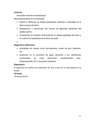 91
Lesiones
No existen lesiones macroscópicas
Microscópicamente se ha observado:
 Edema e infiltración de células plasmáticas, linfocitos y heterófilos en la
lámina propia del útero.
 Desaparición y disminución del número de glándulas secretoras del
epitelio uterino.
 Corpúsculos de inclusión intranucleares en células epiteliales del útero y
en cultivos de hepatocitos de embrión de pollo.

Diagnóstico diferencial
 actividades de manejo como vacunaciones, cortes de pico, selección,
etc..
 problemas en el suministro de agua, alimentos o luz, deficiencias
nutricionales, así como infecciones: encefalomielitis aviar,
laringotraqueitis, EN, y bronquitis infecciosa.
Diagnóstico
El diagnóstico se confirma por aislamiento del virus a partir de: la capa flojistica de la
sangre.
Serología.
Técnica de ELISA
 