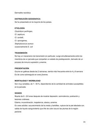 99
Dermatitis necrótica
DISTRIDUCIÓN GEOGRAFICA
Se ha presentado en la mayoría de los países.
ETIOLOGÍA
Clostridium perfringes,
Cl. septicum,
Cl. sordelli,
Cl. sporogenes,
Staphylococcus aureus
ocasionalmente E. coli
TRANSMISIÓN
No hay un mecanismo de transmisión en particular, surge simultáneamente entre los
miembros de un parvada que comparten un estado de predisposición, derivado de un
proceso de inmuno supresión y anemia.
PRESENTACIÓN
Ocurre en gallinas desde las 2 semanas, siendo más frecuente entre la 4 y 8 semana
Es de curso sobreagudo en aves jóvenes.
MORTALIDAD Y MORBILIDAD
Son muy variables, de 1 - 40 %, dependiendo de la cantidad de animales susceptibles
en la parvada.
SIGNOS
Muerte de 8 - 24 horas después de mostrar depresión, somnolencia, postración y
lesiones cutáneas.
Edema, incoordinación, inapetencia, ataxia y anemia.
En aves adultas: oscurecimiento de la cresta y barbillas, ruptura de la piel afectada con
salida de líquido sanguinolento que tiñe de color oscuro las plumas de la región
pectoral.
 