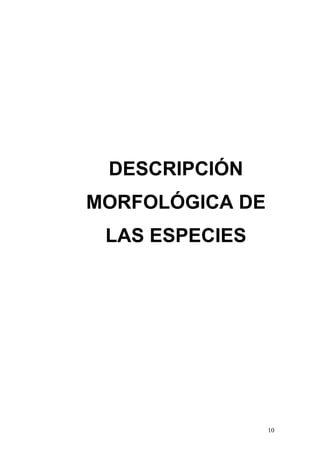 DESCRIPCIÓN
MORFOLÓGICA DE
 LAS ESPECIES




                 10
 