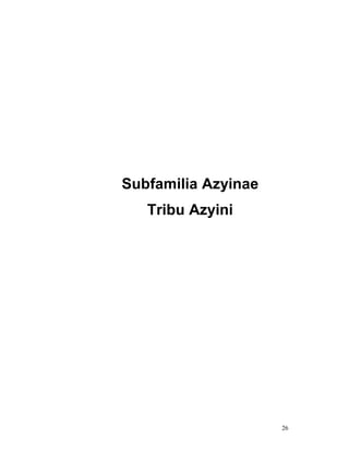 Subfamilia Azyinae
   Tribu Azyini




                     26
 