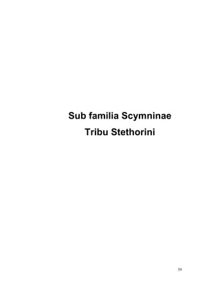 Sub familia Scymninae
   Tribu Stethorini




                        39
 