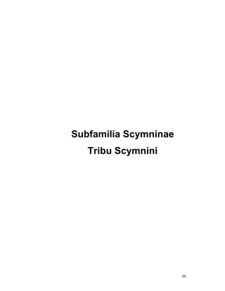 Subfamilia Scymninae
   Tribu Scymnini




                       44
 
