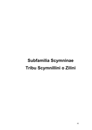 Subfamilia Scymninae
Tribu Scymnillini o Zilini




                             41
 