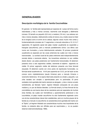 GENERALIDADES

Descripción morfológica de la familia Coccinellidae


En general, la familia está representada por especies de cuerpo de forma oval a
redondeada y más o menos convexa, raramente oval elongada y débilmente
convexo. El tamaño es pequeño (0,8 mm) a mediano (18 mm). Las antenas son
más o menos clavadas, relativamente cortas al menos una y media veces la mitad
de la longitud como el ancho de la cabeza; algunas veces mucho más cortas y
fundamentalmente consisten de 11 segmentos; a menudo reducidos a 10, 9, 8 ó 7
segmentos. El segmento apical del palpo maxilar usualmente es expandido y
triangular (securiforme), pero a menudo paralelamente cónico. Los élitros casi
nunca son truncados y nunca distintivamente estriados. El proceso prosternal
usualmente es separado por las coxas anteriores las cuales son más o menos
transversales. La cavidad coxal de las patas anteriores está independientemente
cerrada detrás o raramente abierta,    los trocantines anteriores no son visibles
desde afuera. Las patas posteriores son fuertemente transversales. El abdomen
presenta cinco a seis segmentos visibles, raramente el séptimo segmento es
visible. El primer segmento visible del abdomen presenta una línea femoral
arqueada. El abdomen cuenta con cinco pares de espiráculos funcionales. La
fórmula tarsal usualmente es   4-4-4 pero aparenta ser 3-3-3, por tal razón se les
conoce como criptotetrámeros (seudo trímeros) pero a menudo trímeros o
raramente tetrámeros. Si la espina tibial está presente es simple y pequeña. Las
uñas tarsales son simples o apendiculadas pero no pectinadas. El penis
verdadero de la genitalia del macho siempre es elongado y más o menos curvado
ventralmente, así llamado “sipho”, tegmen trilobado compuesto de una pieza
mediana y un par de lóbulos laterales. La fórmula tarsal y la línea femoral de los
coccinélidos es una buena clave de los caracteres para ser separados de muchas
otras familias, las cuales son hemisféricos y aparentemente pertenecen a los
coccinélidos, el palpo maxilar securiforme ha sido fuertemente registrado como
una de las características claves bien establecidas, pero en muchos grupos de la
familia es a menudo no securiforme; la característica de la genitalia del macho con
el “Sipho” y el tegmen trilobado son características muchos mas importantes de la
familia, no obstante ellos son difíciles para ser examinados y      no se pueden
observar externamente(Sasaji, 1968).




                                                                                 7
 