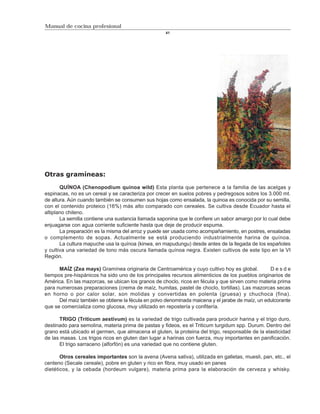 Manual de cocina profesional
                                                    41




Otras gramíneas:

       QUÍNOA (Chenopodium quinoa wild) Esta planta que pertenece a la familia de las acelgas y
espinacas, no es un cereal y se caracteriza por crecer en suelos pobres y pedregosos sobre los 3.000 mt.
de altura. Aún cuando también se consumen sus hojas como ensalada, la quinoa es conocida por su semilla,
con el contenido proteico (16%) más alto comparado con cereales. Se cultiva desde Ecuador hasta el
altiplano chileno.
       La semilla contiene una sustancia llamada saponina que le confiere un sabor amargo por lo cual debe
enjuagarse con agua corriente suficiente hasta que deje de producir espuma.
       La preparación es la misma del arroz y puede ser usada como acompañamiento, en postres, ensaladas
o complemento de sopas. Actualmente se está produciendo industrialmente harina de quínoa.
       La cultura mapuche usa la quínoa (kinwa, en mapudungu) desde antes de la llegada de los españoles
y cultiva una variedad de tono más oscura llamada quínoa negra. Existen cultivos de este tipo en la VI
Región.

      MAÍZ (Zea mays) Gramínea originaria de Centroamérica y cuyo cultivo hoy es global.          Desde
tiempos pre-hispánicos ha sido uno de los principales recursos alimenticios de los pueblos originarios de
América. En las mazorcas, se ubican los granos de choclo, ricos en fécula y que sirven como materia prima
para numerosas preparaciones (crema de maíz, humitas, pastel de choclo, tortillas). Las mazorcas secas
en horno o por calor solar, son molidas y convertidas en polenta (gruesa) y chuchoca (fina).
      Del maíz también se obtiene la fécula en polvo denominada maicena y el jarabe de maíz, un edulcorante
que se comercializa como glucosa, muy utilizado en repostería y confitería.

      TRIGO (Triticum aestivum) es la variedad de trigo cultivada para producir harina y el trigo duro,
destinado para semolina, materia prima de pastas y fideos, es el Triticum turgidum spp. Durum. Dentro del
grano está ubicado el germen, que almacena el gluten, la proteina del trigo, responsable de la elasticidad
de las masas. Los trigos ricos en gluten dan lugar a harinas con fuerza, muy importantes en panificación.
      El trigo sarraceno (alforfón) es una variedad que no contiene gluten.

       Otros cereales importantes son la avena (Avena sativa), utilizada en galletas, muesli, pan, etc., el
centeno (Secale cereale), pobre en gluten y rico en fibra, muy usado en panes
dietéticos, y la cebada (hordeum vulgare), materia prima para la elaboración de cerveza y whisky.
 