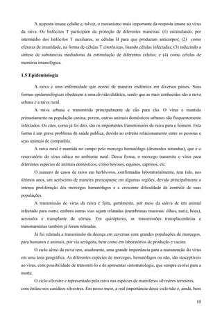 10
A resposta imune celular e, talvez, o mecanismo mais importante da resposta imune ao vírus
da raiva. Os linfócitos T participam da proteção de diferentes maneiras: (1) estimulando, por
intermédio dos linfócitos T auxiliares, as células B para que produzam anticorpos; (2) como
efetoras de imunidade, na forma de células T citotóxicas, lisando células infectadas; (3) induzindo a
síntese de substancias mediadoras da estimulação de diferentes células; e (4) como células de
memória imunológica.
1.5 Epidemiologia
A raiva e uma enfermidade que ocorre de maneira endêmica em diversos paises. Suas
formas epidemiológicas obedecem a uma divisão didática, sendo que as mais conhecidas são a raiva
urbana e a raiva rural.
A raiva urbana e transmitida principalmente de cão para cão. O vírus e mantido
primariamente na população canina; porem, outros animais domésticos urbanos são frequentemente
infectados. Os cães, como já foi dito, são os importantes transmissores da raiva para o homem. Esta
forma é um grave problema de saúde publica, devido ao estreito relacionamento entre as pessoas e
seus animais de companhia.
A raiva rural e mantida no campo pelo morcego hematófago (desmodus rotundus), que e o
reservatório do vírus rabico no ambiente rural. Dessa forma, o morcego transmite o vírus para
diferentes espécies de animais domésticos, como bovinos, equinos, caprinos, etc.
O numero de casos de raiva em herbívoros, confirmados laboratorialmente, tem tido, nos
últimos anos, um acréscimo de maneira preocupante em algumas regiões, devido principalmente a
intensa proliferação dos morcegos hematófagos e a crescente dificuldade de controle de suas
populações.
A transmissão do vírus da raiva e feita, geralmente, por meio da saliva de um animal
infectado para outro, embora outras vias sejam relatadas (membranas mucosas: olhos, nariz, boca),
aerossóis e transplante de córnea. Em quirópteros, as transmissões transplacentárias e
transmamárias também já foram relatadas.
Já foi relatada a transmissão da doença em cavernas com grandes populações de morcegos,
para humanos e animais, por via aerógena, bem como em laboratórios de produção e vacina.
O ciclo aéreo da raiva tem, atualmente, uma grande importância para a manutenção do vírus
em uma área geográfica. As diferentes espécies de morcegos, hematófagos ou não, são susceptíveis
ao vírus, com possibilidade de transmiti-lo e de apresentar sintomatologia, que sempre evolui para a
morte.
O ciclo silvestre e representado pela raiva nas espécies de mamíferos silvestres terrestres,
com ênfase nos canídeos silvestres. Em nosso meio, a real importância desse ciclo não e, ainda, bem
 