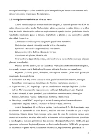 5
morcegos hematófagos, e o dano econômico pelas horas perdidas por homem nos tratamentos anti-
rábicos bem como o próprio custo dos tratamentos.
1.2 Principais características do vírus da raiva
A raiva e uma doença que acomete mamíferos em geral, e é causada por um vírus RNA da
ordem Mononegavirales, família Rhabdoviridae, gênero Lyssavirus e espécie Rabies vírus (RA
BV). Na família Rhabdoviridae, existe um amplo numero de espécies de vírus que infectam animais
vertebrados (mamíferos, peixes e répteis), invertebrados e plantas, o que demonstra a grande
diversidade desses vírus.
A família Rhabdoviridae possui três gêneros que infectam mamíferos:
Vesiculovirus: vírus da estomatite vesicular e vírus relacionados.
Lyssavirus: vírus da raiva e aparentados ao vírus da raiva.
Ephemerovirus: vírus da febre efêmera dos bovinos.
Alem desses três gêneros, há outros três:
Novirhabdovirus (que infecta peixes), cytorhabdovirus e nucleorhabdovirus (que infectam
plantas e invertebrados).
O estudo do vírus da raiva, que ate a década de 70 era considerado uma unidade antigênica,
teve grandes avanços a partir da década de 80, com a utilização de anticorpos monoclonais.
O gênero Lyssavirus possui, atualmente, sete espécies distintas. Quatro delas podem ser
relacionadas da seguinte forma:
Rabies vírus (RA BV), o vírus clássico da raiva, que infecta mamíferos terrestres, morcegos
hematófagos e morcegos nao-hematófagos das Américas e pertence ao genótipo 1;
Lagos bat vírus (LBV) ou genótipo 2, que e o vírus isolado de morcegos frugívoros (Eidolon
helvum, Micropterus pusillus e Epomorphorus wahlbergi) da Região dos Lagos (Nigéria);
Mokola vírus (MOKV) ou genótipo 3, que foi isolado de mussanharos (Crocidura sp) de
humanos, também da Nigéria, e de felinos do Zimbabwe e da Etiópia; e
Duvenhage vírus (DUVV) ou genótipo 4, isolado de morcegos insetívoros (miniopterus
schereibersii e nycteris thebaica) e humanos da África do Sul e Zimbabwe.
A partir da década de 80, verificou-se que tais vírus (genótipos 2, 3 e 4), denominados vírus
relacionados ou aparentados ao vírus da raiva, pareciam estar mais difundidos do que se supôs
inicialmente. Naquela época foram isoladas varias cepas de vírus do continente europeu com
características similares aos vírus relacionados. Mais estudos realizados posteriormente permitiram
a classificação de mais dois genótipos ou duas espécies: o European bat lyssavirus 1 (EBLV1), que
agrupou os isolamentos do gênero Eptesicus; e o European bat lyssavirus 2 (EBLV2), que agrupou
os isolamentos do gênero Myotis. Esses foram denominados, respectivamente, genótipos 5 e 6.
 