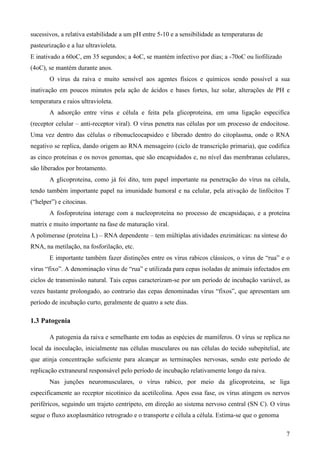 7
sucessivos, a relativa estabilidade a um pH entre 5-10 e a sensibilidade as temperaturas de
pasteurização e a luz ultravioleta.
E inativado a 60oC, em 35 segundos; a 4oC, se mantém infectivo por dias; a -70oC ou liofilizado
(4oC), se mantém durante anos.
O vírus da raiva e muito sensível aos agentes físicos e químicos sendo possível a sua
inativação em poucos minutos pela ação de ácidos e bases fortes, luz solar, alterações de PH e
temperatura e raios ultravioleta.
A adsorção entre vírus e célula e feita pela glicoproteina, em uma ligação especifica
(receptor celular – anti-receptor viral). O vírus penetra nas células por um processo de endocitose.
Uma vez dentro das células o ribonucleocapsideo e liberado dentro do citoplasma, onde o RNA
negativo se replica, dando origem ao RNA mensageiro (ciclo de transcrição primaria), que codifica
as cinco proteínas e os novos genomas, que são encapsidados e, no nível das membranas celulares,
são liberados por brotamento.
A glicoproteina, como já foi dito, tem papel importante na penetração do vírus na célula,
tendo também importante papel na imunidade humoral e na celular, pela ativação de linfócitos T
(“helper”) e citocinas.
A fosfoproteína interage com a nucleoproteína no processo de encapsidaçao, e a proteína
matrix e muito importante na fase de maturação viral.
A polimerase (proteína L) – RNA dependente – tem múltiplas atividades enzimáticas: na síntese do
RNA, na metilação, na fosforilação, etc.
E importante também fazer distinções entre os vírus rabicos clássicos, o vírus de “rua” e o
vírus “fixo”. A denominação vírus de “rua” e utilizada para cepas isoladas de animais infectados em
ciclos de transmissão natural. Tais cepas caracterizam-se por um período de incubação variável, as
vezes bastante prolongado, ao contrario das cepas denominadas vírus “fixos”, que apresentam um
período de incubação curto, geralmente de quatro a sete dias.
1.3 Patogenia
A patogenia da raiva e semelhante em todas as espécies de mamíferos. O vírus se replica no
local da inoculação, inicialmente nas células musculares ou nas células do tecido subepitelial, ate
que atinja concentração suficiente para alcançar as terminações nervosas, sendo este período de
replicação extraneural responsável pelo período de incubação relativamente longo da raiva.
Nas junções neuromusculares, o vírus rabico, por meio da glicoproteina, se liga
especificamente ao receptor nicotínico da acetilcolina. Apos essa fase, os vírus atingem os nervos
periféricos, seguindo um trajeto centrípeto, em direção ao sistema nervoso central (SN C). O vírus
segue o fluxo axoplasmático retrogrado e o transporte e célula a célula. Estima-se que o genoma
 