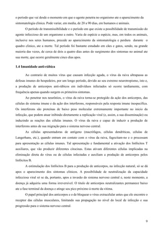 9
o período que vai desde o momento em que o agente penetra no organismo ate o aparecimento da
sintomatologia clinica. Pode variar, em media, de 20 a 90 dias, em humanos e animais.
O período de transmissibilidade e o período em que existe a possibilidade de transmissão do
agente infeccioso de um organismo a outro. Varia de espécie a espécie, mas, em todos os animais,
inclusive nos seres humanos, precede ao aparecimento da sintomatologia e perdura durante o
quadro clinico, ate a morte. Tal período foi bastante estudado em cães e gatos, sendo, na grande
maioria das vezes, de cerca de dois a quatro dias antes do surgimento dos sintomas no animal ate
sua morte, que ocorre geralmente cinco dias apos.
1.4 Imunidade anti-rábica
Ao contrario de muitos vírus que causam infecção aguda, o vírus da raiva ultrapassa as
defesas imunes do hospedeiro, por um longo período, devido ao seu extremo neurotropismo, isto e,
a produção de anticorpos anti-rábicos em indivíduos infectados só ocorre tardiamente, com
frequência apenas quando surgem os primeiros sintomas.
Ao penetrar nos neurônios, o vírus da raiva torna-se protegido da ação dos anticorpos, das
células do sistema imune e da ação dos interferons, responsáveis pela resposta imune inespecífica.
Os interferons são proteínas de baixo peso molecular extremamente importante no inicio da
infecção, que podem atuar inibindo diretamente a replicação viral (e, assim, a sua disseminação) ou
induzindo as reações das células imunes. O vírus da raiva e capaz de induzir a produção de
interferons antes de sua migração para o sistema nervoso central.
As células apresentadoras de antígeno (macrófagos, células dendríticas, células de
Langerhans, etc.), quando entram em contato com o vírus da raiva, fagocitam-no e o processam
para apresentação as células imunes. Tal apresentação e fundamental a ativação dos linfócitos T
auxiliares, que vão produzir diferentes citocinas. Estas ativam diferentes células implicadas na
eliminação direta do vírus ou de células infectadas e auxiliam a produção de anticorpos pelos
linfócitos B.
A estimulação dos linfócitos B para a produção de anticorpos, na infecção natural, só se dá
apos o aparecimento dos sintomas clínicos. A possibilidade de neutralização da capacidade
infecciosa viral só se da, portanto, apos a invasão do sistema nervoso central e, neste momento, a
doença já adquiriu uma forma irreversível. O titulo de anticorpos neutralizantes permanece baixo
ate a fase terminal da doença e atinge seu pico próximo à morte da vitima.
O papel principal dos anticorpos e o de bloquear o vírus extracelular antes que ele encontre o
receptor das células musculares, limitando sua propagação no nível do local de infecção e sua
progressão para o sistema nervoso central.
 