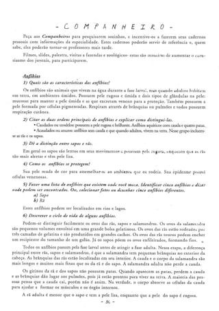 Manual de Companheiro