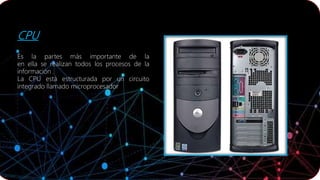 CPU
Es la partes más importante de la
en ella se realizan todos los procesos de la
información .
La CPU está estructurada por un circuito
integrado llamado microprocesador
 