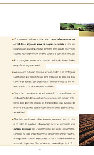 n Em terrenos declivosos, com risco de erosão elevado, ao
cereal deve seguir-se uma pastagem semeada à base de
leguminosas, que disponibiliza alimento para o gado e serve de
coberto vegetal protector do solo durante a época das chuvas;
n Esta pastagem deve estar no solo um mínimo de 5 anos, findos
os quais se segue o cereal;
n As rotações culturais poderão ser encurtadas e as pastagens
substituídas por leguminosas para produção de grão ou, nos
solos mais férteis, por oleaginosas, quando o declive do ter-
reno e o risco de erosão forem menores;
n Tenha em consideração as aplicações de produtos fitofarma-
cêuticos (herbicidas ou outros) que efectuou nas culturas ante-
riores para prevenir efeitos de fitotoxicidade nas culturas da
rotação provocados pela presença de resíduos desses produ-
tos no solo;
n Nos sistemas de monocultura intensiva, como é o caso da cultu-
ra do milho de regadio a Sul do rio Tejo, deve ser introduzida uma
cultura intercalar de Outono/Inverno, de rápido crescimento,
semeada no cedo e que desenvolva rapidamente grande raizame.
Protege o solo durante a época das chuvas e utiliza os nutrientes
ainda nele disponíveis. Veja as recomendações do ponto 3.2.2.
28
 