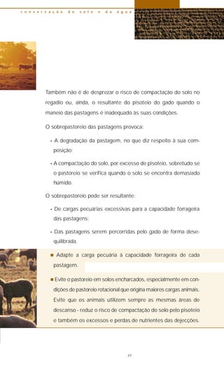 Também não é de desprezar o risco de compactação do solo no
regadio ou, ainda, o resultante do pisoteio do gado quando o
maneio das pastagens é inadequado às suas condições.
O sobrepastoreio das pastagens provoca:
• A degradação da pastagem, no que diz respeito à sua com-
posição;
• A compactação do solo, por excesso de pisoteio, sobretudo se
o pastoreio se verifica quando o solo se encontra demasiado
húmido.
O sobrepastoreio pode ser resultante:
• De cargas pecuárias excessivas para a capacidade forrageira
das pastagens;
• Das pastagens serem percorridas pelo gado de forma dese-
quilibrada.
n Adapte a carga pecuária à capacidade forrageira de cada
pastagem.
n Evite o pastoreio em solos encharcados, especialmente em con-
dições de pastoreio rotacional que origina maiores cargas animais.
Evite que os animais utilizem sempre as mesmas áreas de
descanso - reduz o risco de compactação do solo pelo pisoteio
e também os excessos e perdas de nutrientes das dejecções.
c o n s e r v a ç ã o d o s o l o e d a á g u a
37
 