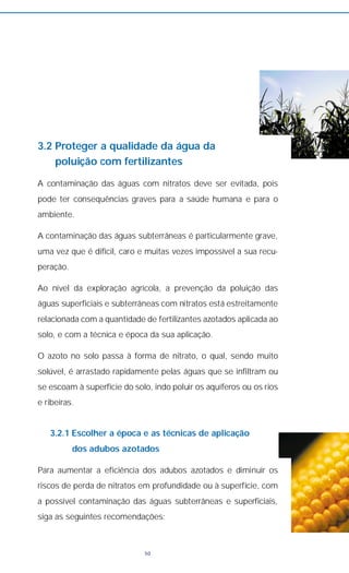 3.2 Proteger a qualidade da água da
poluição com fertilizantes
A contaminação das águas com nitratos deve ser evitada, pois
pode ter consequências graves para a saúde humana e para o
ambiente.
A contaminação das águas subterrâneas é particularmente grave,
uma vez que é difícil, caro e muitas vezes impossível a sua recu-
peração.
Ao nível da exploração agrícola, a prevenção da poluição das
águas superficiais e subterrâneas com nitratos está estreitamente
relacionada com a quantidade de fertilizantes azotados aplicada ao
solo, e com a técnica e época da sua aplicação.
O azoto no solo passa à forma de nitrato, o qual, sendo muito
solúvel, é arrastado rapidamente pelas águas que se infiltram ou
se escoam à superfície do solo, indo poluir os aquíferos ou os rios
e ribeiras.
3.2.1 Escolher a época e as técnicas de aplicação
dos adubos azotados
Para aumentar a eficiência dos adubos azotados e diminuir os
riscos de perda de nitratos em profundidade ou à superfície, com
a possível contaminação das águas subterrâneas e superficiais,
siga as seguintes recomendações:
50
 