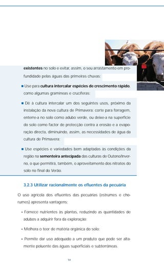 existentes no solo e evitar, assim, o seu arrastamento em pro-
fundidade pelas águas das primeiras chuvas;
n Use para cultura intercalar espécies de crescimento rápido,
como algumas gramíneas e crucíferas;
n Dê à cultura intercalar um dos seguintes usos, próximo da
instalação da nova cultura de Primavera: corte para forragem,
enterre-a no solo como adubo verde, ou deixe-a na superfície
do solo como factor de protecção contra a erosão e a evapo-
ração directa, diminuindo, assim, as necessidades de água da
cultura de Primavera;
n Use espécies e variedades bem adaptadas às condições da
região na sementeira antecipada das culturas de Outono/Inver-
no, o que permitirá, também, o aproveitamento dos nitratos do
solo no final do Verão.
3.2.3 Utilizar racionalmente os efluentes da pecuária
O uso agrícola dos efluentes das pecuárias (estrumes e cho-
rumes) apresenta vantagens:
• Fornece nutrientes às plantas, reduzindo as quantidades de
adubos a adquirir fora da exploração;
• Melhora o teor de matéria orgânica do solo;
• Permite dar uso adequado a um produto que pode ser alta-
mente poluente das águas superficiais e subterrâneas.
54
 
