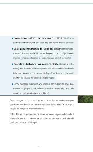 n Limpe pequenos troços em cada ano, ou então, limpe alterna-
damente uma margem em cada ano em troços mais extensos;
n Deixe pequenos trechos de talude por limpar (aproximada-
mente 10 m em cada 30 metros limpos), com o objectivo de
manter refúgios e facilitar a recolonização animal e vegetal;
n Execute os trabalhos nos meses de Verão (Junho a Sete-
mbro). No entanto, se tiver que realizar os trabalhos dentro do
leito, concentre-os nos meses de Agosto e Setembro para não
afectar os peixes na época de reprodução;
n Tenha cuidados acrescidos na limpeza dos cursos de água per-
manentes, já que é naturalmente nestes que existe uma vida
aquática mais rica (peixes e anfíbios).
Para proteger os rios e as ribeiras, e desta forma também a água
que todos nós bebemos, é recomendável deixar uma faixa de pro-
tecção ao longo do rio ou da ribeira.
Estas faixas de protecção deverão ter uma largura adequada à
dimensão do rio ou ribeira. Aqui pode ser semeada ou instalada
qualquer cultura, desde que:
64
 