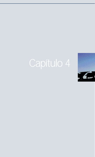 Capítulo 4
 