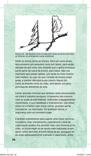 54 
Figura 24 - Há alguma coisa errada com estas árvores! Derrube-as 
inteiras, se precisarem poda excessiva. 
Pode os ramos rente ao tronco. Para um corte limpo, 
faça primeiro um pequeno corte por baixo, para então 
decepá-los por cima. Isto impede que o galho arranque 
junto parte da casca da árvore, para baixo. Não use 
machado para podar galhos, um facão ou foice funcio-nam 
melhor. Se mais do que metade da árvore exigir 
poda, é melhor derrubá-la por inteiro (figura 24). 
Corte as árvores rente ao chão, sem deixar um toco 
pontiagudo aflorando ao solo. 
Cortar grandes troncos que tenham caído atravessados 
na trilha é trabalho perigoso. O tamanho dos troncos 
com os quais se está lidando, restrições a equipamento 
motorizado, e sua habilidade e treinamento, irão deter-minar 
se é melhor usar moto-serras, grandes serras 
traçadeiras, ou machados. De qualquer forma, a 
segurança vem em primeiro lugar. 
É preciso treinamento para operar uma moto-serra ou 
traçadeira. Este treinamento, experiência e nível de 
capacitação podem lhe permitir lidar com troncos já no 
chão, ou encarregar-se de tarefa mais avançada (e peri-gosa) 
como derrubar árvores ainda de pé. Assegure-se 
de estar adequadamente treinado e capacitado, antes 
29462003 miolo.indd 54 19/3/2009 11:06:21 
 
