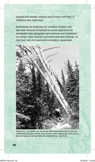 56 
Quando em dúvida, marque esta árvore com fitas, e 
notifique seu supervisor. 
Estatísticas de acidentes de trabalho revelam que 
derrubar árvores (incluindo os tocos) está entre as 
atividades mais perigosas para pessoas que trabalham 
no campo. Nem mesmo considere derrubar árvores, se 
não tiver sido formalmente treinado e capacitado. 
Figura 25 - Se estiver se sentindo desconfortável diante da sua 
competência para cortar uma árvore com segurança, por causa 
dos perigos ou da sua falta de experiência, caia fora... 
29462003 miolo.indd 56 19/3/2009 11:06:24 
 