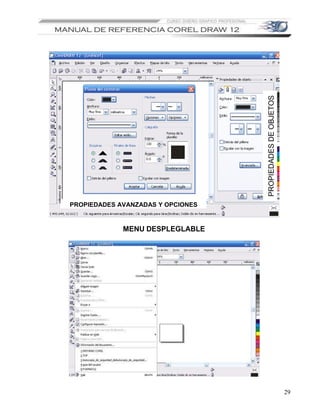 PROPIEDADES DE OBJETOS
PROPIEDADES AVANZADAS Y OPCIONES


             MENU DESPLEGLABLE




                                                            29
 