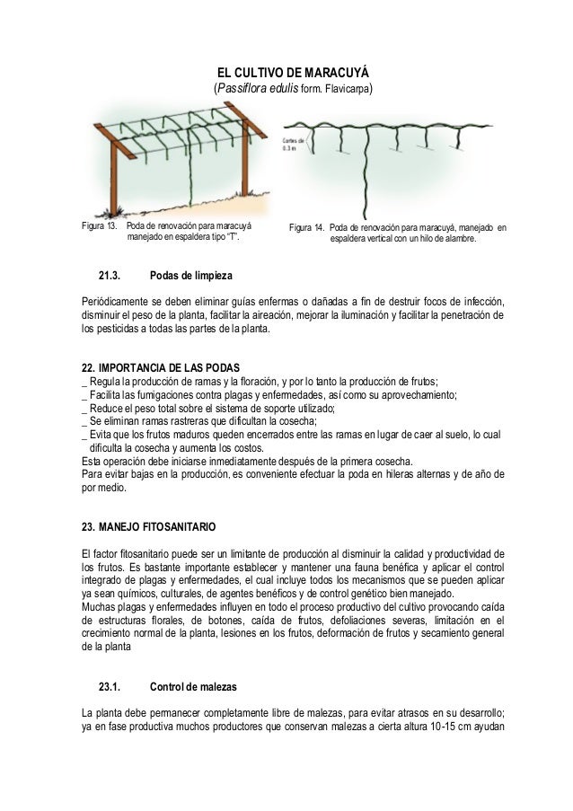 Quinto