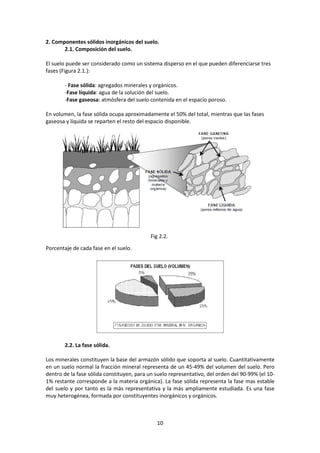 2. Componentes sólidos inorgánicos del suelo. 
Fig 2.2. 
10 
2.1. Composición del suelo. 
El suelo puede ser considerado como un sistema disperso en el que pueden diferenciarse tres 
fases (Figura 2.1.): 
- Fase sólida: agregados minerales y orgánicos. 
-Fase líquida: agua de la solución del suelo. 
-Fase gaseosa: atmósfera del suelo contenida en el espacio poroso. 
En volumen, la fase sólida ocupa aproximadamente el 50% del total, mientras que las fases 
gaseosa y líquida se reparten el resto del espacio disponible. 
Porcentaje de cada fase en el suelo. 
2.2. La fase sólida. 
Los minerales constituyen la base del armazón sólido que soporta al suelo. Cuantitativamente 
en un suelo normal la fracción mineral representa de un 45-49% del volumen del suelo. Pero 
dentro de la fase sólida constituyen, para un suelo representativo, del orden del 90-99% (el 10- 
1% restante corresponde a la materia orgánica). La fase sólida representa la fase mas estable 
del suelo y por tanto es la más representativa y la más ampliamente estudiada. Es una fase 
muy heterogénea, formada por constituyentes inorgánicos y orgánicos. 
 