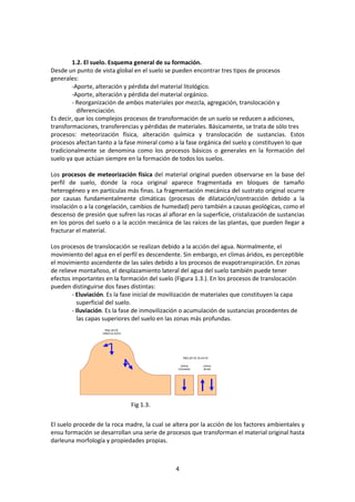 1.2. El suelo. Esquema general de su formación. 
Desde un punto de vista global en el suelo se pueden encontrar tres tipos de procesos 
generales: 
-Aporte, alteración y pérdida del material litológico. 
-Aporte, alteración y pérdida del material orgánico. 
- Reorganización de ambos materiales por mezcla, agregación, translocación y 
diferenciación. 
Es decir, que los complejos procesos de transformación de un suelo se reducen a adiciones, 
transformaciones, transferencias y pérdidas de materiales. Básicamente, se trata de sólo tres 
procesos: meteorización física, alteración química y translocación de sustancias. Estos 
procesos afectan tanto a la fase mineral como a la fase orgánica del suelo y constituyen lo que 
tradicionalmente se denomina como los procesos básicos o generales en la formación del 
suelo ya que actúan siempre en la formación de todos los suelos. 
Los procesos de meteorización física del material original pueden observarse en la base del 
perfil de suelo, donde la roca original aparece fragmentada en bloques de tamaño 
heterogéneo y en partículas más finas. La fragmentación mecánica del sustrato original ocurre 
por causas fundamentalmente climáticas (procesos de dilatación/contracción debido a la 
insolación o a la congelación, cambios de humedad) pero también a causas geológicas, como el 
descenso de presión que sufren las rocas al aflorar en la superficie, cristalización de sustancias 
en los poros del suelo o a la acción mecánica de las raíces de las plantas, que pueden llegar a 
fracturar el material. 
Los procesos de translocación se realizan debido a la acción del agua. Normalmente, el 
movimiento del agua en el perfil es descendente. Sin embargo, en climas áridos, es perceptible 
el movimiento ascendente de las sales debido a los procesos de evapotranspiración. En zonas 
de relieve montañoso, el desplazamiento lateral del agua del suelo también puede tener 
efectos importantes en la formación del suelo (Figura 1.3.). En los procesos de translocación 
pueden distinguirse dos fases distintas: 
- Eluviación. Es la fase inicial de movilización de materiales que constituyen la capa 
superficial del suelo. 
- Iluviación. Es la fase de inmovilización o acumulación de sustancias procedentes de 
las capas superiores del suelo en las zonas más profundas. 
El suelo procede de la roca madre, la cual se altera por la acción de los factores ambientales y 
ensu formación se desarrollan una serie de procesos que transforman el material original hasta 
darleuna morfología y propiedades propias. 
4 
Fig 1.3. 
 