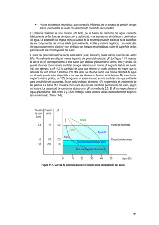 111
Ψa es el potencial neumático, que expresa la influencia de un exceso de presión de gas
sobre una muestra de suelo con determinado contenido de humedad.
El potencial matricial es una medida, por tanto, de la fuerza de retención del agua. Depende
básicamente de las fuerzas de adsorción y capilaridad, y se expresa en atmósferas o centímetros
de agua. La adsorción se origina como resultado de la descompensación eléctrica de la superficie
de los componentes de la fase sólida (principalmente, arcillas y materia orgánica). Las moléculas
del agua actúan como dipolos y son atraídas, por fuerzas electrostáticas, sobre la superficie de las
partículas de los constituyentes del suelo.
El valor del potencial matricial oscila entre 0 kPa (suelo saturado) hasta valores menores de –2000
kPa. Normalmente se utiliza el menos logaritmo del potencial matricial, pF. La Figura 11-1 muestra
la curva de pF correspondiente a tres suelos con distinta granulometría: arena, limo y arcilla. Se
puede observar cómo varía la cantidad de agua retenida a un mismo pF según la textura del suelo.
Así, por ejemplo, a pF 4.2, la cantidad de agua que retiene un suelo arcilloso es mayor que la
retenida por uno limoso o arcilloso. Por otra parte, se observa cómo una misma cantidad de agua
en el suelo puede estar disponible o no para las plantas en función de la textura. De esta forma,
según la misma gráfica, un 10% de agua en un suelo arenoso es una cantidad más que suficiente
para la nutrición de las plantas. En un suelo arcilloso, el mismo 10% no permitiría el crecimiento de
las plantas. La Tabla 11-1 muestra cómo varía el punto de marchitez permanente del suelo, según
su textura. La capacidad de campo se alcanza a un pF promedio de 2.5. El pF correspondiente al
agua gravitacional, está entre 2 y 3.Sin embargo, estos valores varían moderadamente según la
textura del suelo (Tabla 11-2).
4.2
2.5
1.8
16
1/3
1/20
0.2
10
50
pFPresión
(atm)
Tamaño
de poro
(µm)
Punto de marchitez
Capacidad de campo
0 10 20 30 40 50 Agua (%)
Arena
Limo
Arcilla
Agua útil
Agua gravitacional (flujo lento)
Agua gravitacional (flujo rápido)
Figura 11-1. Curvas de potencial capilar en función de la composición del suelo.
 