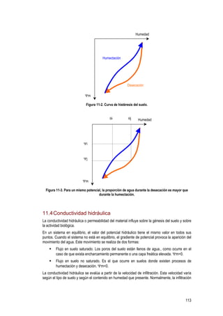113
Humectación
Humedad
Ψm
Desecación
Figura 11-2. Curva de histéresis del suelo.
Humedad
Ψm
Ψi
Ψj
θi θj
Figura 11-3. Para un mismo potencial, la proporción de agua durante la desecación es mayor que
durante la humectación.
11.4Conductividad hidráulica
La conductividad hidráulica o permeabilidad del material influye sobre la génesis del suelo y sobre
la actividad biológica.
En un sistema en equilibrio, el valor del potencial hidráulico tiene el mismo valor en todos sus
puntos. Cuando el sistema no está en equilibrio, el gradiente de potencial provoca la aparición del
movimiento del agua. Este movimiento se realiza de dos formas:
Flujo en suelo saturado. Los poros del suelo están llenos de agua., como ocurre en el
caso de que exista encharcamiento permanente o una capa freática elevada. Ψm=0.
Flujo en suelo no saturado. Es el que ocurre en suelos donde existen procesos de
humectación y desecación. Ψm<0.
La conductividad hidráulica se evalúa a partir de la velocidad de infiltración. Esta velocidad varía
según el tipo de suelo y según el contenido en humedad que presente. Normalmente, la infiltración
 