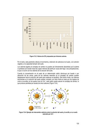 130
0
50
100
150
200
250
300
350
400
450
arena
mica
caolinita
limo
palygorskita
glauconita
ilita
clorita
alófana
esmectita
vermiculita
materiaorgánica
CIC
cmol(+)/kg
Figura 13-3. Valores de CIC propuestos por diversos autores.
Por lo tanto, este parámetro afecta al movimiento y retención de cationes en el suelo, a la nutrición
vegetal y a la capacidad tampón del suelo.
Los cationes ligados al complejo de cambio no pueden ser directamente absorbidos por la planta
ni perderse por lavado hacia las capas internas del perfil por causa del riego o las precipitaciones,
lo que sí ocurre con los cationes de la solución del suelo.
Cuando la concentración en el suelo de un determinado catión disminuye por lavado o por
absorción de las raíces, parte de los cationes retenidos en el complejo de cambio pueden
desplazarse hacia la solución del suelo para restaurar el equilibrio. Del mismo modo, los cationes
dominantes en la solución del suelo pueden competir con éxito frente al resto por los lugares de
unión a la arcilla: en los suelos ricos en Ca2+, este catión puede saturar el complejo de cambio, lo
que produce pérdidas por lavado de otros cationes (Figura 13-4).
Partícula de
arcilla (carga -) Ca2+
K+
Figura 13-4. Ejemplo de intercambio catiónico entre la solución del suelo y la arcilla, en un suelo
saturado por Ca2+.
 