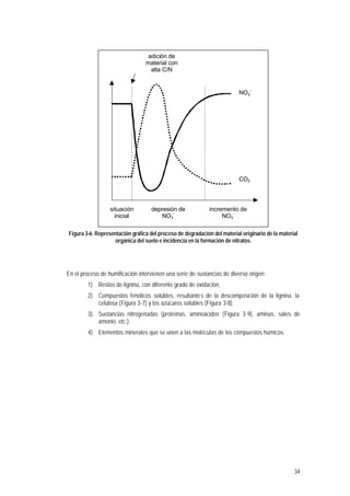 34
NO3
-
CO2
adición de
material con
alta C/N
situación
inicial
depresión de
NO3
-
incremento de
NO3
-
Figura 3-6. Representación gráfica del proceso de degradación del material originario de la material
orgánica del suelo e incidencia en la formación de nitratos.
En el proceso de humificación intervienen una serie de sustancias de diverso origen:
1) Restos de lignina, con diferente grado de oxidación.
2) Compuestos fenólicos solubles, resultantes de la descomposición de la lignina, la
celulosa (Figura 3-7) y los azúcares solubles (Figura 3-8).
3) Sustancias nitrogenadas (proteínas, aminoácidos (Figura 3-9), aminas, sales de
amonio. etc.).
4) Elementos minerales que se unen a las moléculas de los compuestos húmicos.
 