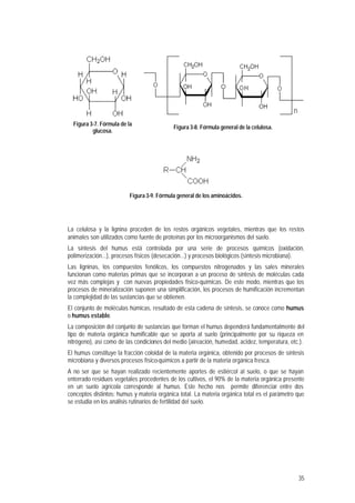 35
Figura 3-7. Fórmula de la
glucosa.
Figura 3-8. Fórmula general de la celulosa.
Figura 3-9. Fórmula general de los aminoácidos.
La celulosa y la lignina proceden de los restos orgánicos vegetales, mientras que los restos
animales son utilizados como fuente de proteínas por los microorganismos del suelo.
La síntesis del humus está controlada por una serie de procesos químicos (oxidación,
polimerización...), procesos físicos (desecación...) y procesos biológicos (síntesis microbiana).
Las ligninas, los compuestos fenólicos, los compuestos nitrogenados y las sales minerales
funcionan como materias primas que se incorporan a un proceso de síntesis de moléculas cada
vez más complejas y con nuevas propiedades físico-químicas. De este modo, mientras que los
procesos de mineralización suponen una simplificación, los procesos de humificación incrementan
la complejidad de las sustancias que se obtienen.
El conjunto de moléculas húmicas, resultado de esta cadena de síntesis, se conoce como humus
o humus estable.
La composición del conjunto de sustancias que forman el humus dependerá fundamentalmente del
tipo de materia orgánica humificable que se aporta al suelo (principalmente por su riqueza en
nitrógeno), así como de las condiciones del medio (aireación, humedad, acidez, temperatura, etc.).
El humus constituye la fracción coloidal de la materia orgánica, obtenido por procesos de síntesis
microbiana y diversos procesos físico-químicos a partir de la materia orgánica fresca.
A no ser que se hayan realizado recientemente aportes de estiércol al suelo, o que se hayan
enterrado residuos vegetales procedentes de los cultivos, el 90% de la materia orgánica presente
en un suelo agrícola corresponde al humus. Este hecho nos permite diferenciar entre dos
conceptos distintos: humus y materia orgánica total. La materia orgánica total es el parámetro que
se estudia en los análisis rutinarios de fertilidad del suelo.
 
