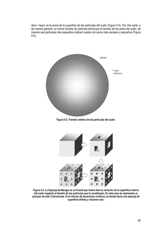 56
decir: mayor es la suma de la superficie de las partículas del suelo (Figura 5-3). Por otra parte, y
de manera general, un menor tamaño de partícula disminuye el tamaño de los poros del suelo, de
manera que partículas más pequeñas originan suelos con poros más escasos y pequeños (Figura
5-4).
ARENA
LIMO
ARCILLA
Figura 5-2. Tamaño relativo de las partículas del suelo.
Figura 5-3. La Esponja de Menger es un fractal que ilustra bien la variación de la superficie interna
del suelo respecto al tamaño de las partículas que lo constituyen. En este caso se representa un
proceso de sólo 3 iteraciones. Si el número de iteraciones continua, se tiende hacia una esponja de
superficie infinita y volumen nulo.
 