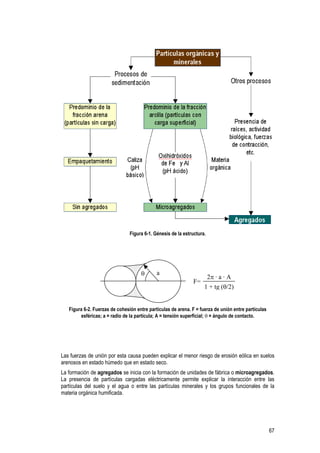 67
Figura 6-1. Génesis de la estructura.
F=
1 + tg (θ/2)
2π · a · A
θ a
Figura 6-2. Fuerzas de cohesión entre partículas de arena. F = fuerza de unión entre partículas
esféricas; a = radio de la partícula; A = tensión superficial; θ = ángulo de contacto.
Las fuerzas de unión por esta causa pueden explicar el menor riesgo de erosión eólica en suelos
arenosos en estado húmedo que en estado seco.
La formación de agregados se inicia con la formación de unidades de fábrica o microagregados.
La presencia de partículas cargadas eléctricamente permite explicar la interacción entre las
partículas del suelo y el agua o entre las partículas minerales y los grupos funcionales de la
materia orgánica humificada.
 