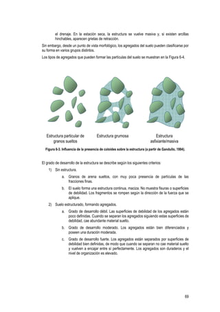 69
el drenaje. En la estación seca, la estructura se vuelve masiva y, si existen arcillas
hinchables, aparecen grietas de retracción.
Sin embargo, desde un punto de vista morfológico, los agregados del suelo pueden clasificarse por
su forma en varios grupos distintos.
Los tipos de agregados que pueden formar las partículas del suelo se muestran en la Figura 6-4.
Estructura particular de
granos sueltos
Estructura grumosa Estructura
asfixiante/masiva
Figura 6-3. Influencia de la presencia de coloides sobre la estructura (a partir de Gandullo, 1994).
El grado de desarrollo de la estructura se describe según los siguientes criterios:
1) Sin estructura.
a. Granos de arena sueltos, con muy poca presencia de partículas de las
fracciones finas.
b. El suelo forma una estructura continua, maciza. No muestra fisuras o superficies
de debilidad. Los fragmentos se rompen según la dirección de la fuerza que se
aplique.
2) Suelo estructurado, formando agregados.
a. Grado de desarrollo débil. Las superficies de debilidad de los agregados están
poco definidas. Cuando se separan los agregados siguiendo estas superficies de
debilidad, cae abundante material suelto.
b. Grado de desarrollo moderado. Los agregados están bien diferenciados y
poseen una duración moderada.
c. Grado de desarrollo fuerte. Los agregados están separados por superficies de
debilidad bien definidas, de modo que cuando se separan no cae material suelto
y vuelven a encajar entre sí perfectamente. Los agregados son duraderos y el
nivel de organización es elevado.
 