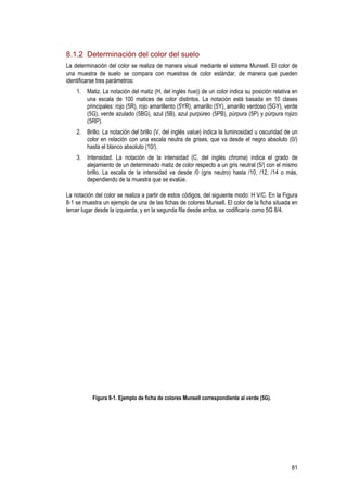 81
8.1.2 Determinación del color del suelo
La determinación del color se realiza de manera visual mediante el sistema Munsell. El color de
una muestra de suelo se compara con muestras de color estándar, de manera que pueden
identificarse tres parámetros:
1. Matiz. La notación del matiz (H, del inglés hue)) de un color indica su posición relativa en
una escala de 100 matices de color distintos. La notación está basada en 10 clases
principales: rojo (5R), rojo amarillento (5YR), amarillo (5Y), amarillo verdoso (5GY), verde
(5G), verde azulado (5BG), azul (5B), azul purpúreo (5PB), púrpura (5P) y púrpura rojizo
(5RP).
2. Brillo. La notación del brillo (V, del inglés value) indica la luminosidad u oscuridad de un
color en relación con una escala neutra de grises, que va desde el negro absoluto (0/)
hasta el blanco absoluto (10/).
3. Intensidad. La notación de la intensidad (C, del inglés chroma) indica el grado de
alejamiento de un determinado matiz de color respecto a un gris neutral (5/) con el mismo
brillo. La escala de la intensidad va desde /0 (gris neutro) hasta /10, /12, /14 o más,
dependiendo de la muestra que se evalúe.
La notación del color se realiza a partir de estos códigos, del siguiente modo: H V/C. En la Figura
8-1 se muestra un ejemplo de una de las fichas de colores Munsell. El color de la ficha situada en
tercer lugar desde la izquierda, y en la segunda fila desde arriba, se codificaría como 5G 8/4.
Figura 8-1. Ejemplo de ficha de colores Munsell correspondiente al verde (5G).
 