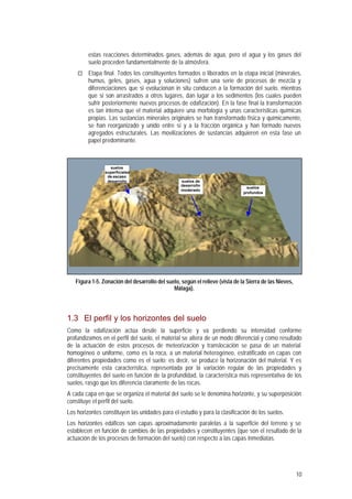 10
estas reacciones determinados gases, además de agua, pero el agua y los gases del
suelo proceden fundamentalmente de la atmósfera.
¨ Etapa final. Todos los constituyentes formados o liberados en la etapa inicial (minerales,
humus, geles, gases, agua y soluciones) sufren una serie de procesos de mezcla y
diferenciaciones que si evolucionan in situ conducen a la formación del suelo, mientras
que si son arrastrados a otros lugares, dan lugar a los sedimentos (los cuales pueden
sufrir posteriormente nuevos procesos de edafización). En la fase final la transformación
es tan intensa que el material adquiere una morfología y unas características químicas
propias. Las sustancias minerales originales se han transformado física y químicamente,
se han reorganizado y unido entre sí y a la fracción orgánica y han formado nuevos
agregados estructurales. Las movilizaciones de sustancias adquieren en esta fase un
papel predominante.
suelos
superficiales
de escaso
desarrollo suelos de
desarrollo
moderado
suelos
profundos
Figura 1-5. Zonación del desarrollo del suelo, según el relieve (vista de la Sierra de las Nieves,
Málaga).
1.3 El perfil y los horizontes del suelo
Como la edafización actúa desde la superficie y va perdiendo su intensidad conforme
profundizamos en el perfil del suelo, el material se altera de un modo diferencial y como resultado
de la actuación de estos procesos de meteorización y translocación se pasa de un material
homogéneo o uniforme, como es la roca, a un material heterogéneo, estratificado en capas con
diferentes propiedades como es el suelo; es decir, se produce la horizonación del material. Y es
precisamente esta característica, representada por la variación regular de las propiedades y
constituyentes del suelo en función de la profundidad, la característica más representativa de los
suelos, rasgo que los diferencia claramente de las rocas.
A cada capa en que se organiza el material del suelo se le denomina horizonte, y su superposición
constituye el perfil del suelo.
Los horizontes constituyen las unidades para el estudio y para la clasificación de los suelos.
Los horizontes edáficos son capas aproximadamente paralelas a la superficie del terreno y se
establecen en función de cambios de las propiedades y constituyentes (que son el resultado de la
actuación de los procesos de formación del suelo) con respecto a las capas inmediatas.
 