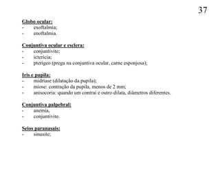 37
Globo ocular:
-   exoftalmia;
-   enoftalmia.

Conjuntiva ocular e esclera:
-   conjuntivite;
-   icterícia;
-   pterígeo (prega na conjuntiva ocular, carne esponjosa);

Iris e pupila:
-     midríase (dilatação da pupila);
-     miose: contração da pupila, menos de 2 mm;
-     anisocoria: quando um contrai e outro dilata, diâmetros diferentes.

Conjuntiva palpebral:
-   anemia,
-   conjuntivite.

Seios paranasais:
-    sinusite;
 