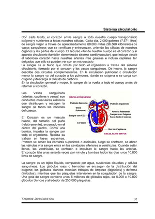 Enfermera: Rocío Burelo Cruz 32
Sistema circulatorio
Con cada latido, el corazón envía sangre a todo nuestro cuerpo transportando
oxígeno y nutrientes a todas nuestras células. Cada día, 2.000 galones (7.571 litros)
de sangre viajan a través de aproximadamente 60.000 millas (96.560 kilómetros) de
vasos sanguíneos que se ramifican y entrecruzan, uniendo las células de nuestros
órganos y las partes del cuerpo. El recurso vital de nuestro cuerpo es el corazón y el
aparato circulatorio (también denominado sistema cardiovascular), que incluye desde
el laborioso corazón hasta nuestras arterias más gruesas e incluso capilares tan
delgados que sólo se pueden ver con un microscopio
La sangre es el fluido que circula por todo el organismo a través del sistema
circulatorio, formado por el corazón y los vasos sanguíneos. De hecho, la sangre
describe dos circuitos complementarios. En la circulación pulmonar o circulación
menor la sangre va del corazón a los pulmones, donde se oxigena o se carga con
oxigeno y descarga el dióxido de carbono.
En la circulación general o mayor, la sangre da la vuelta a todo el cuerpo antes de
retornar al corazón.
Los Vasos sanguíneos
(arterias, capilares y venas) son
conductos musculares elásticos
que distribuyen y recogen la
sangre de todos los rincones
del cuerpo.
El Corazón es un músculo
hueco, del tamaño del puño
(relativamente), encerrado en el
centro del pecho. Como una
bomba, impulsa la sangre por
todo el organismo. Realiza su
trabajo en fases sucesivas.
Primero se llenan las cámaras superiores o aurículas, luego se contraen, se abren
las válvulas y la sangre entra en las cavidades inferiores o ventrículos. Cuando están
llenos, los ventrículos se contraen e impulsan la sangre hacia las arterias.
El corazón late unas setenta veces por minuto y bombea todos los días unos 10.000
litros de sangre.
La sangre es un tejido líquido, compuesto por agua, sustancias disueltas y células
sanguíneas. Los glóbulos rojos o hematíes se encargan de la distribución del
oxigeno; los glóbulos blancos efectúan trabajos de limpieza (fagocitos) y defensa
(linfocitos), mientras que las plaquetas intervienen en la coagulación de la sangre.
Una gota de sangre contiene unos 5 millones de glóbulos rojos, de 5.000 a 10.000
glóbulos blancos y alrededor de 250.000 plaquetas.
 