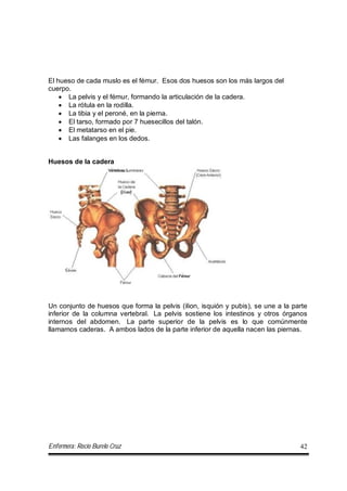 Enfermera: Rocío Burelo Cruz 42
El hueso de cada muslo es el fémur. Esos dos huesos son los más largos del
cuerpo.
 La pelvis y el fémur, formando la articulación de la cadera.
 La rótula en la rodilla.
 La tibia y el peroné, en la pierna.
 El tarso, formado por 7 huesecillos del talón.
 El metatarso en el pie.
 Las falanges en los dedos.
Un conjunto de huesos que forma la pelvis (ilion, isquión y pubis), se une a la parte
inferior de la columna vertebral. La pelvis sostiene los intestinos y otros órganos
internos del abdomen. La parte superior de la pelvis es lo que comúnmente
llamamos caderas. A ambos lados de la parte inferior de aquella nacen las piernas.
Huesos de la cadera
 