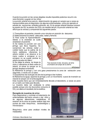 Enfermera: Rocío Burelo Cruz 57
Cuando la punción en las venas elegidas resulta imposible podemos recurrir a la
vena femoral o yugular en los niños.
La punción arterial sirve para la determinación de gases en sangre que a veces es
imprescindible para el diagnóstico de algunas enfermedades, como por ejemplo el
estudio de neumonías, embolia pulmonar, etc. En la sangre arterial interesa conocer
la presión de O2, la presión de CO2 y la medida del pH, la punción arterial es más
difícil que la venosa y comprende los siguientes pasos:
1) Tranquilizar al paciente y tenerlo unos minutos en posición de descanso.
2) Seleccionamos la arteria adecuada, radial y femoral.
3) Para evitar la hiperventilación
debido a la ansiedad se suele
anestesiar al paciente.
4) Se realiza la punción con una
jeringa que lleva heparina. Se
comprimen las arterias radial y
cubital hasta que la palma de la
mano palidezca. Liberamos la
arteria cubital y se observa si la
mano vuelve a enrojecer si no
enrojece no se puede pinchar la
arteria (prueba de Allen).
5) Se palpa la arteria, se limpia la
zona y colocamos el dedo sobre la
arteria, al entrar la sangre en la
jeringa desplaza el émbolo.
6) Retiramos la jeringa y con una gasa presionamos la zona de extracción unos
segundos, a veces con un peso.
7) Expulsamos las burbujas de aire de la jeringa si las hubiera.
8) Retiramos la aguja, tapamos la jeringa y con un movimiento suave de inversión se
mezcla la sangre con el anticoagulante.
Esta muestra tiene que ser inmediatamente llevada al laboratorio, a veces se pone
en un baño con hielo para llevarla.
La muestra debe ser analizada lo antes
posible porque sino los leucocitos consume el
O2 y se altera el resultado de la analítica.
Recogida de muestras de orina:
Para diagnosticar y controlar el tratamiento de
enfermedades del tracto urinario o del riñón y
de algunas alteraciones metabólicas. El
examen de la orina se puede realizar bajo tres
puntos de vista: bioquímica, bacteriológica y
microscópico
Bioquímico, sirve para analizar niveles de
metabolitos
 