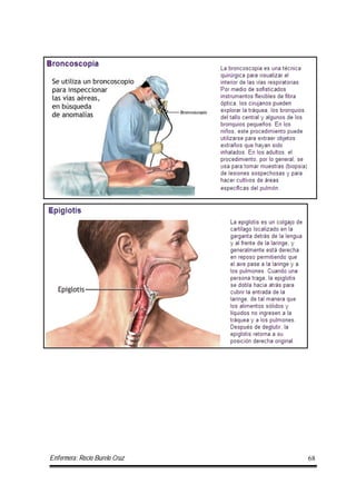 Enfermera: Rocío Burelo Cruz 68
 