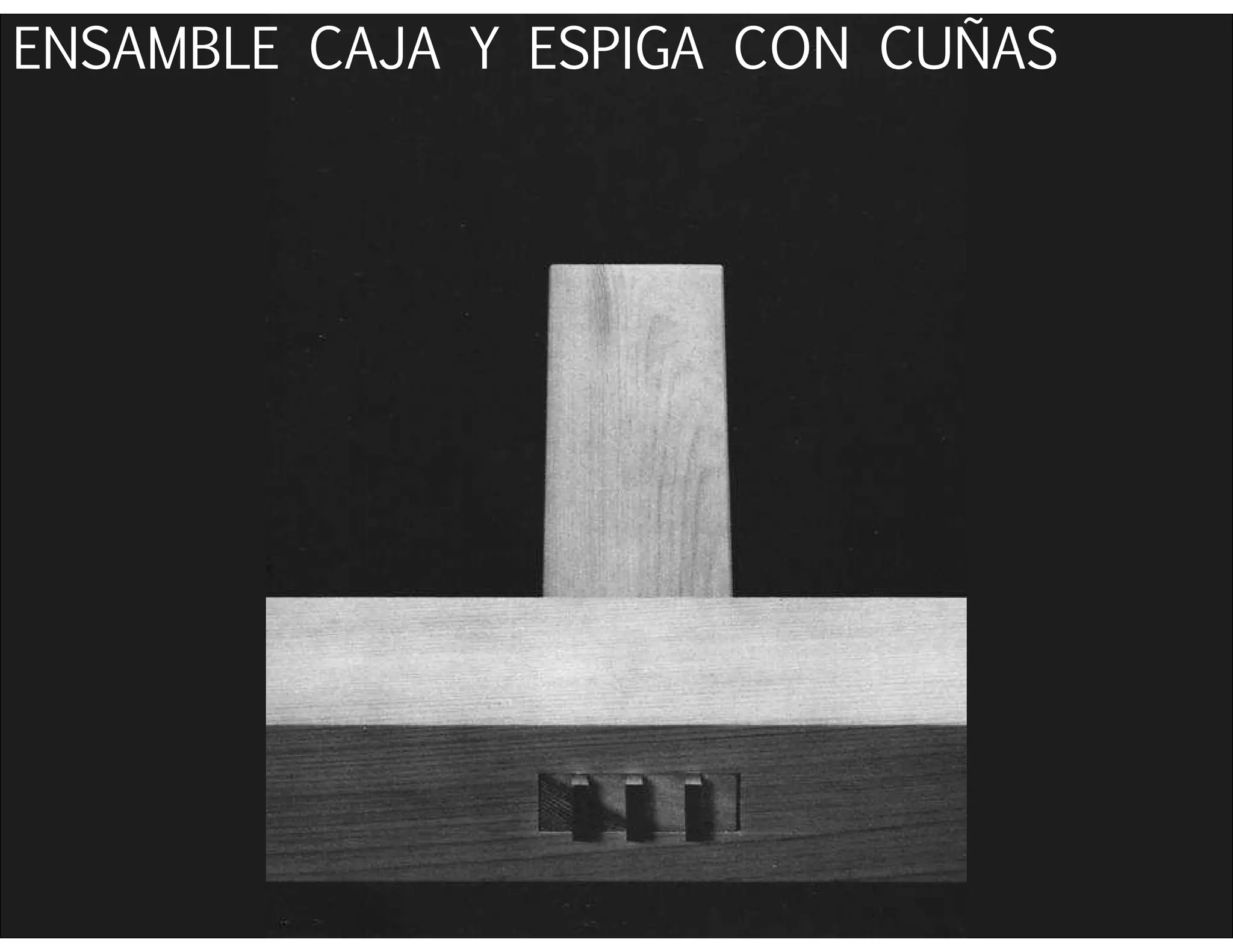 ENSAMBLE CAJA Y ESPIGA CON CUÑAS
 