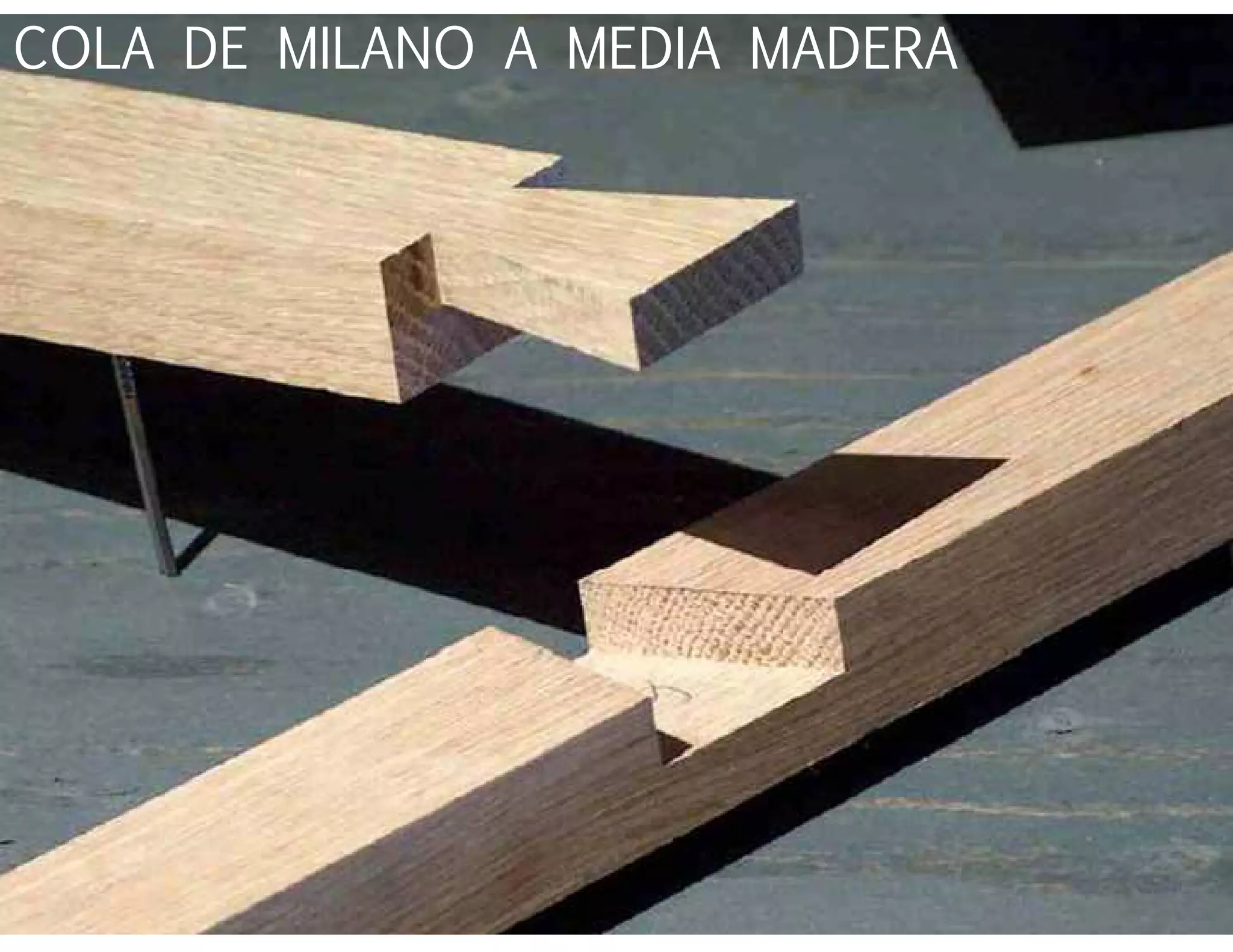 COLA DE MILANO A MEDIA MADERA
 