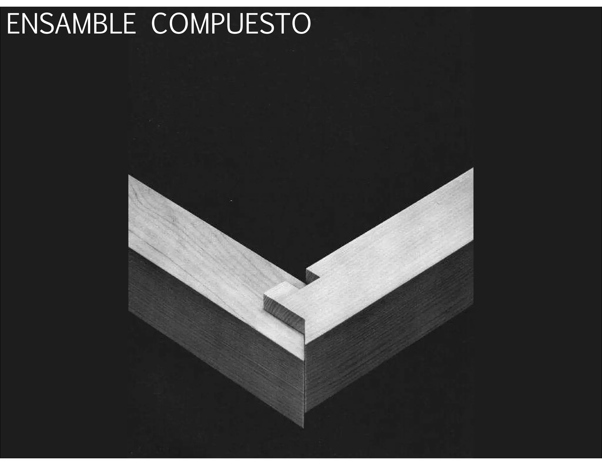 ENSAMBLE COMPUESTO
 