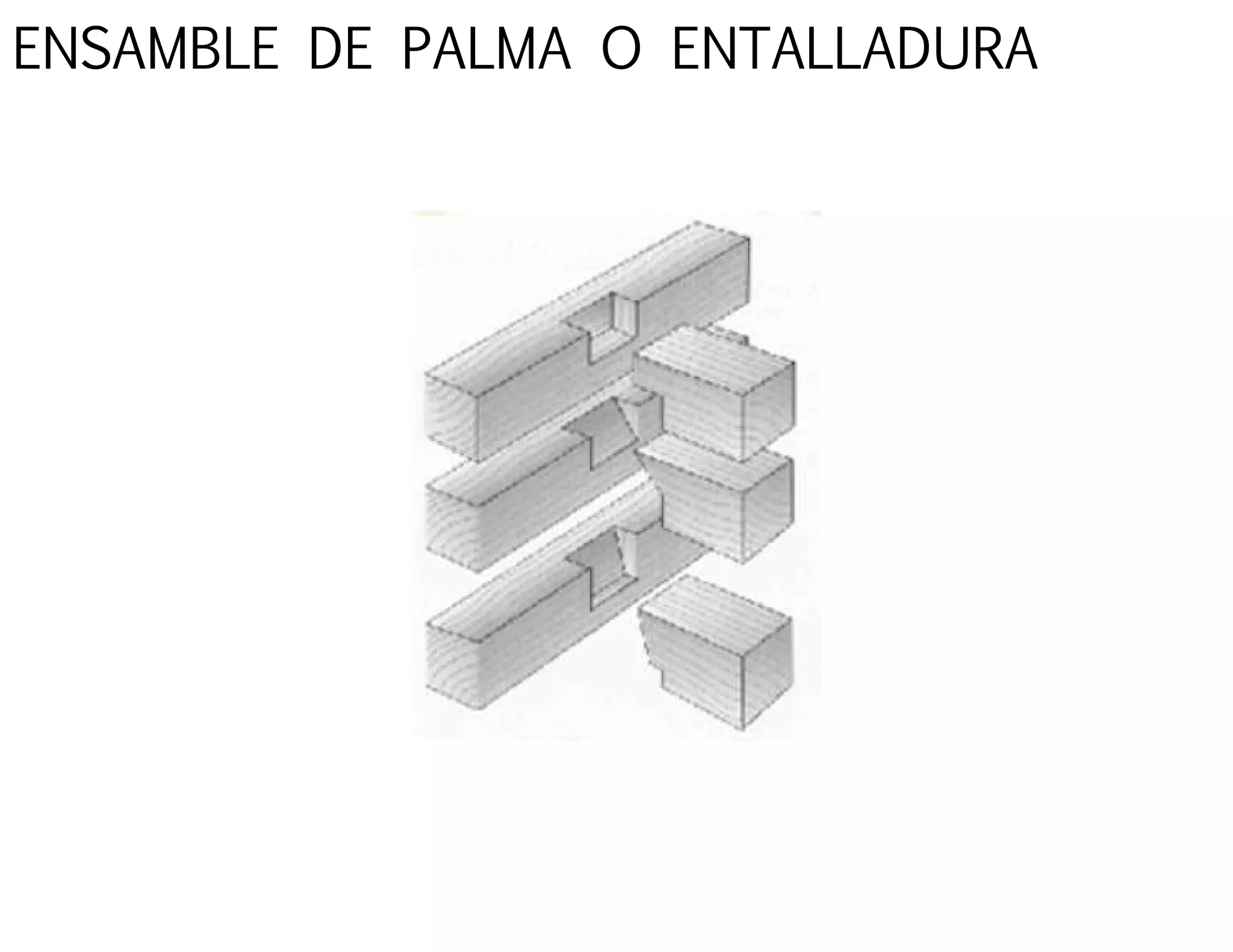 ENSAMBLE DE PALMA O ENTALLADURA
 